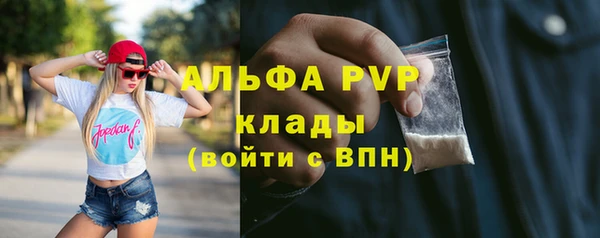 прущие грибы Вязьма